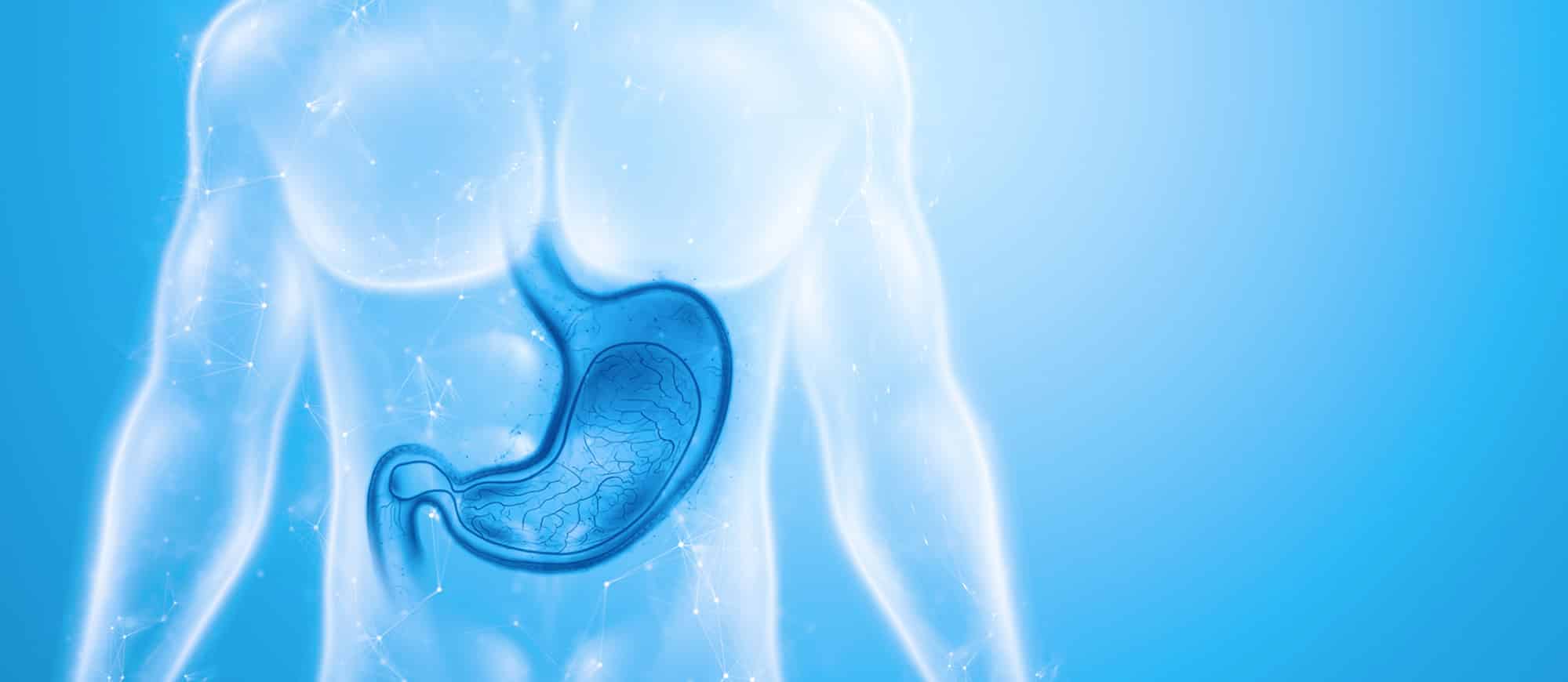 BIOHIT GastroPanel quick tes
