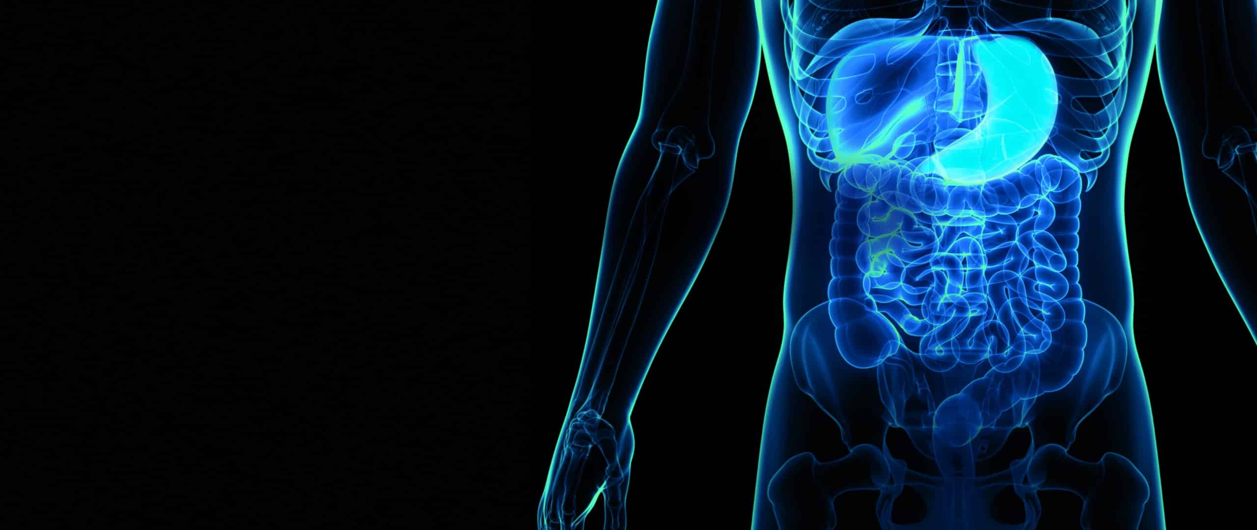 We’re proud to announce that Biohit Oyj will be exhibiting at the United European Gastroenterology Week (UEGW) 2025 in Berlin!