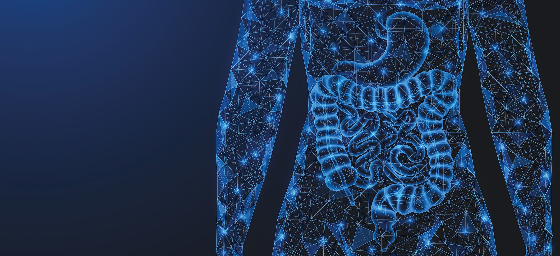 BIOHIT Medica 2025